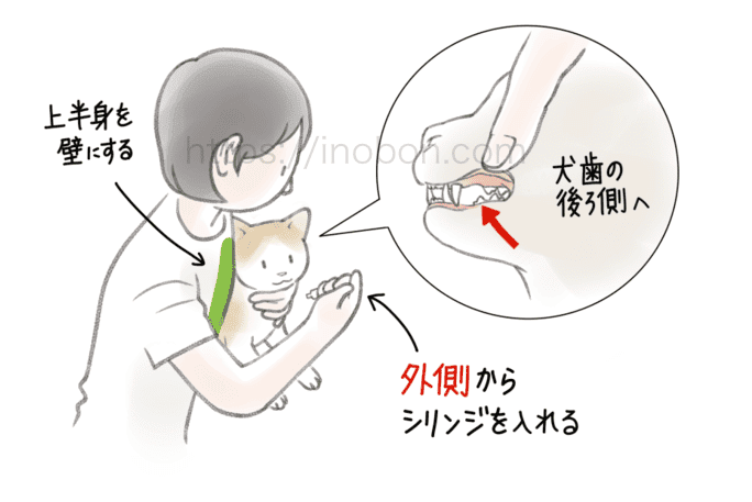 猫の保定、液体の薬をシリンジで与える時のコツ