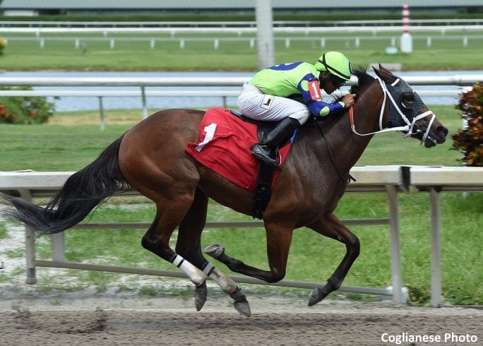 Thursdays Betting Tips for Horse Racing, Football & Greyhounds - 19/03/2020