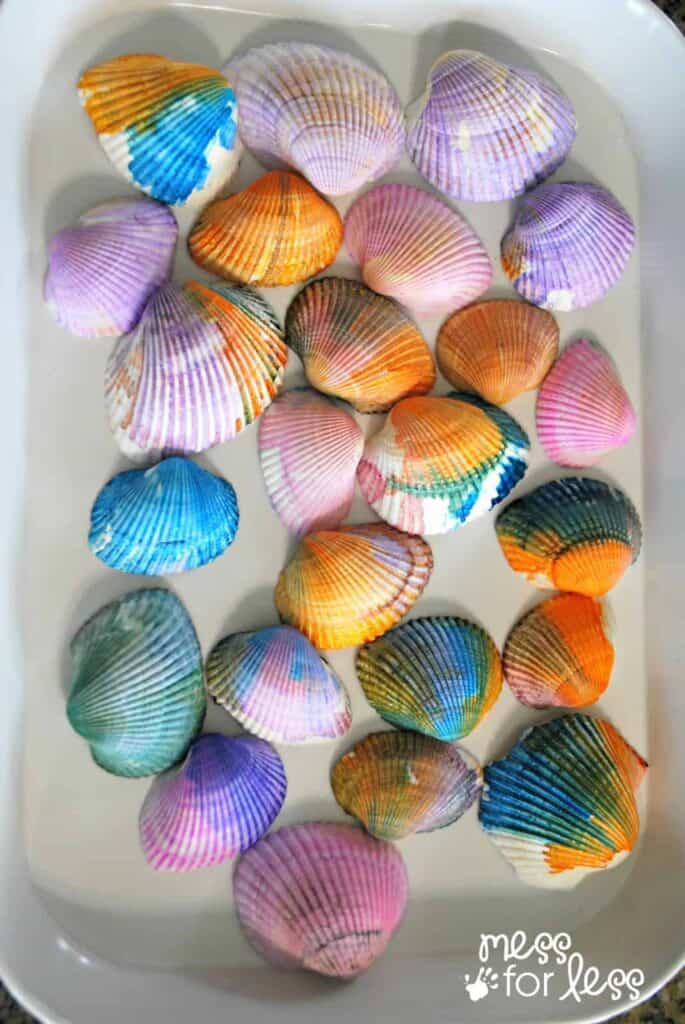 watercolored shells