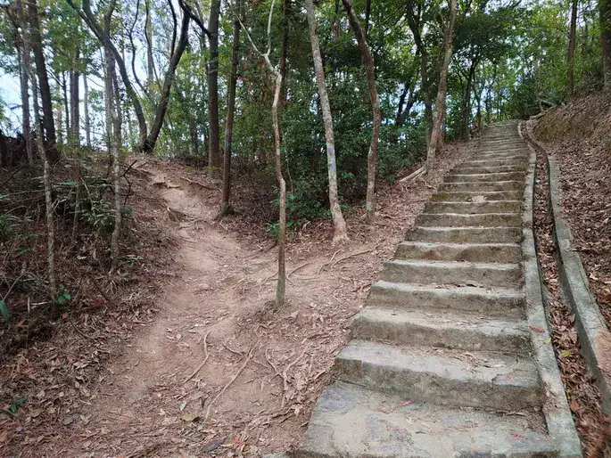 衛奕信徑5段