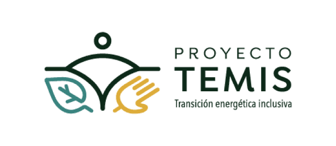EAPN Madrid 11 Proyecto Temis