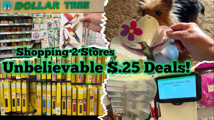 Does Dollar Tree Sell Bird Seed
