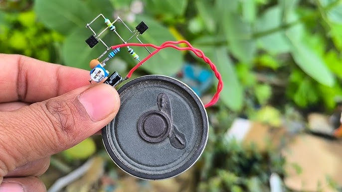 How to Make a Bird Chirping Noise