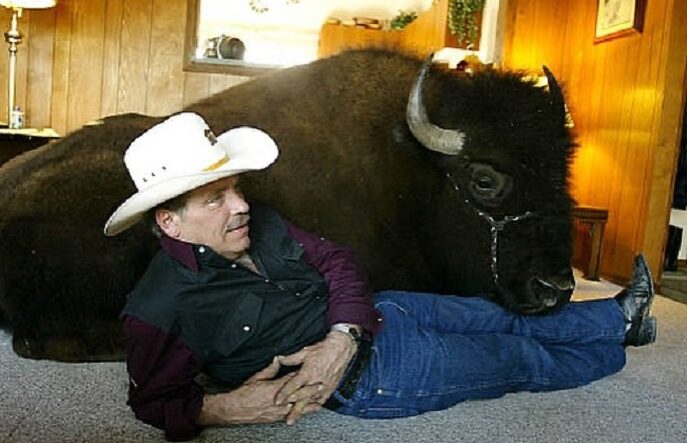 hombre relajado con su bufalo en el living