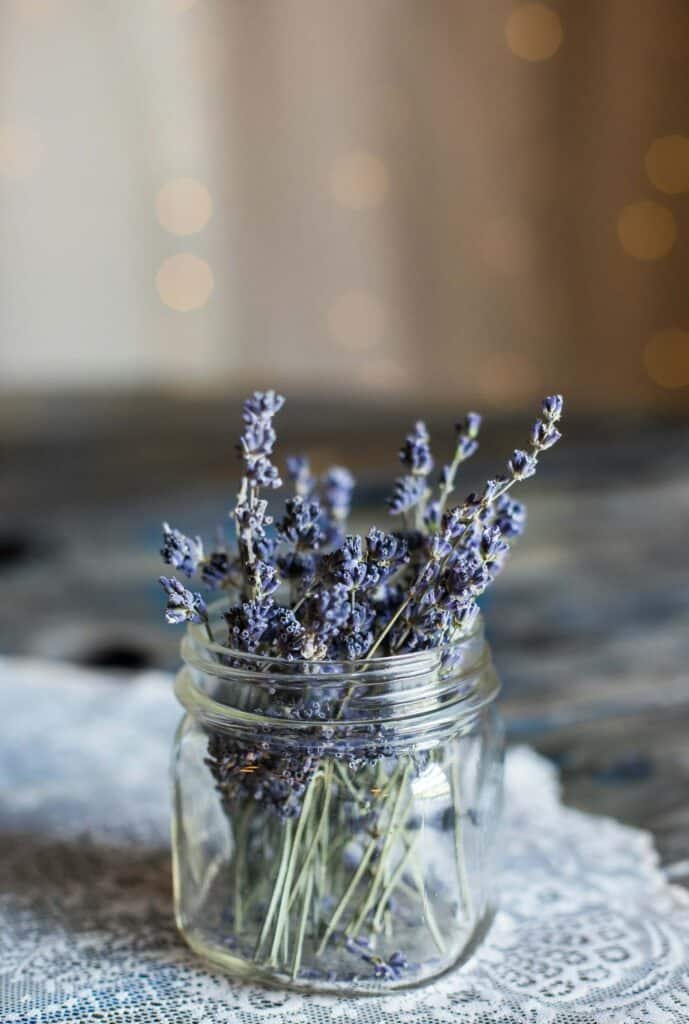 french lavender - How to Achieve a French Country Look for Your Home