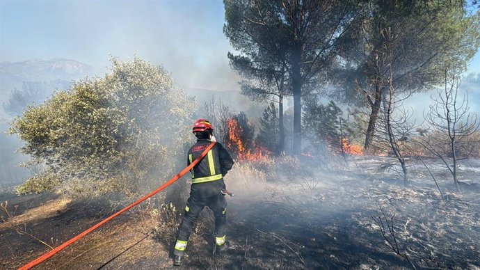 Bombero trabajando en un incendio forestal en la Comunidad de Madrid, rodeado de humo y vegetación quemada.