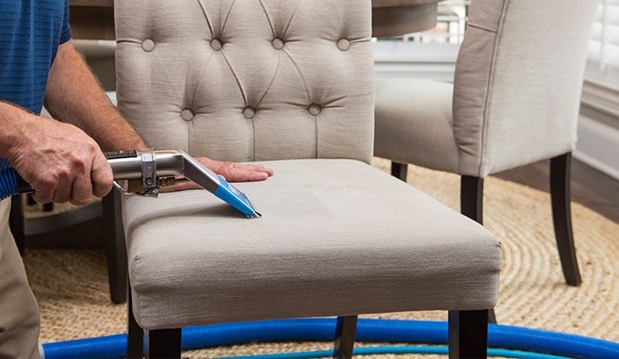 carpet-cleaning-wa.webp
