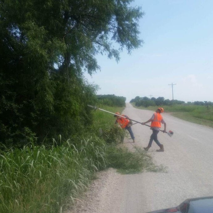 Tree Trimming by Wichita Tree Service