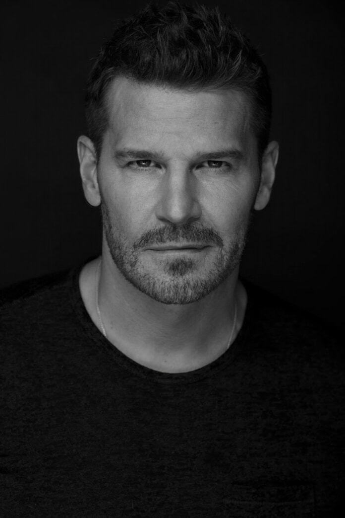 David Boreanaz Italian Global Series