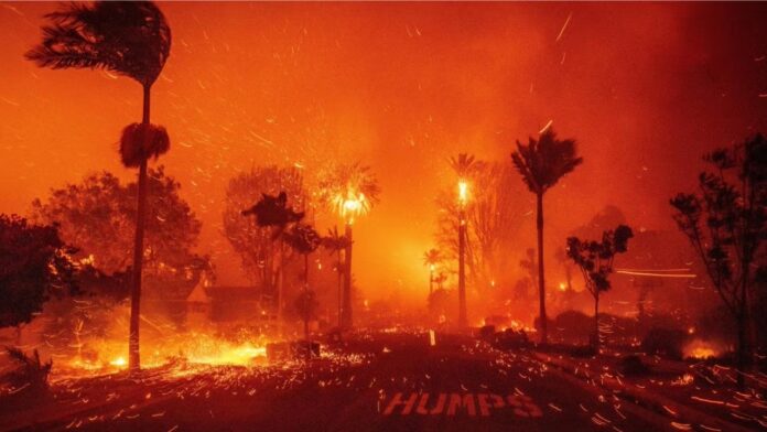 The LA Fires