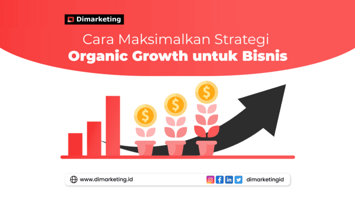 Jasa digital marketing, 
konsultan marketing, Cara Maksimalkan Organic Growth untuk Bisnis