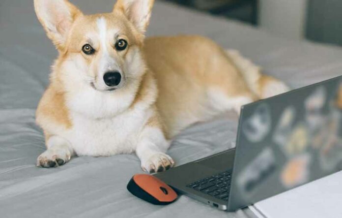 Fix Logitech Mouse Cursor Stuttering, Lagging, Freezing Fix Logitech Mouse Cursor Stuttering, Lagging, Freezing