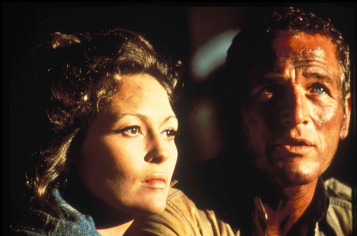I 100 anni di Paul Newman, 12 star omaggiate, giovani autrici, che in concorso superano gli autori: la costellazione del TFF