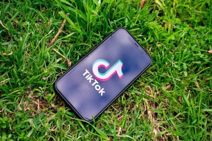 How-to-Permanently-Delete-your-TikTok-Account-using-the-App How-to-Permanently-Delete-your-TikTok-Account-using-the-App