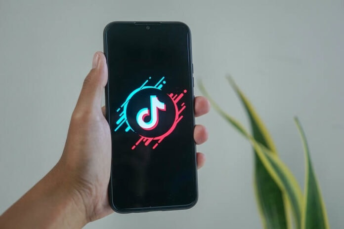 How-to-Save-or-Download-Original-TikTok-Videos-Without-a-Watermark How-to-Save-or-Download-Original-TikTok-Videos-Without-a-Watermark