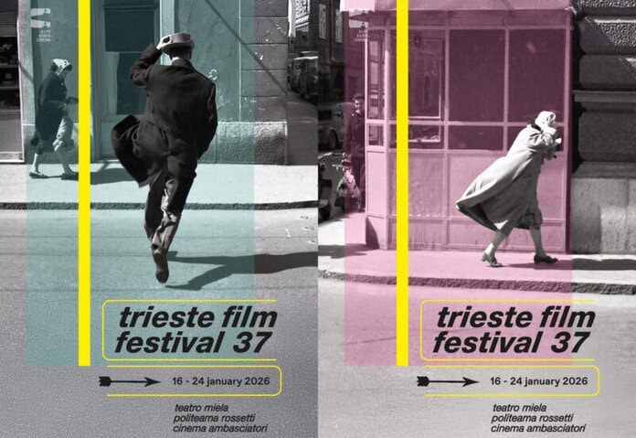 Dal 16 al 24 gennaio la 37° edizione del Trieste Film Festival, diretto da Nicoletta Romeo. Molti i film candidati agli EFA