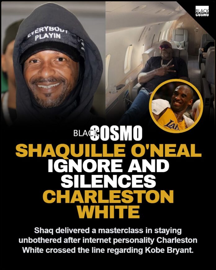 Shaquille O' Neal looking unbothered while sitting in a private jet, representing his masterclass in ignoring internet trolls.