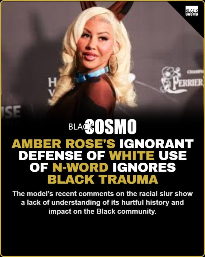 Amber Rose's Ignorant Defense of N-Word Use