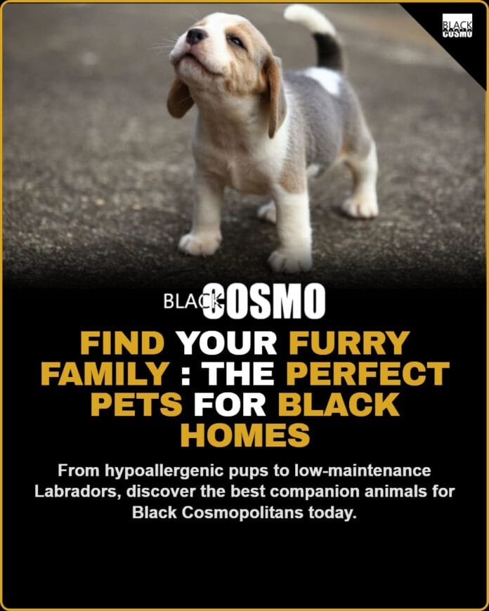Finding the Perfect Pets for Black Families