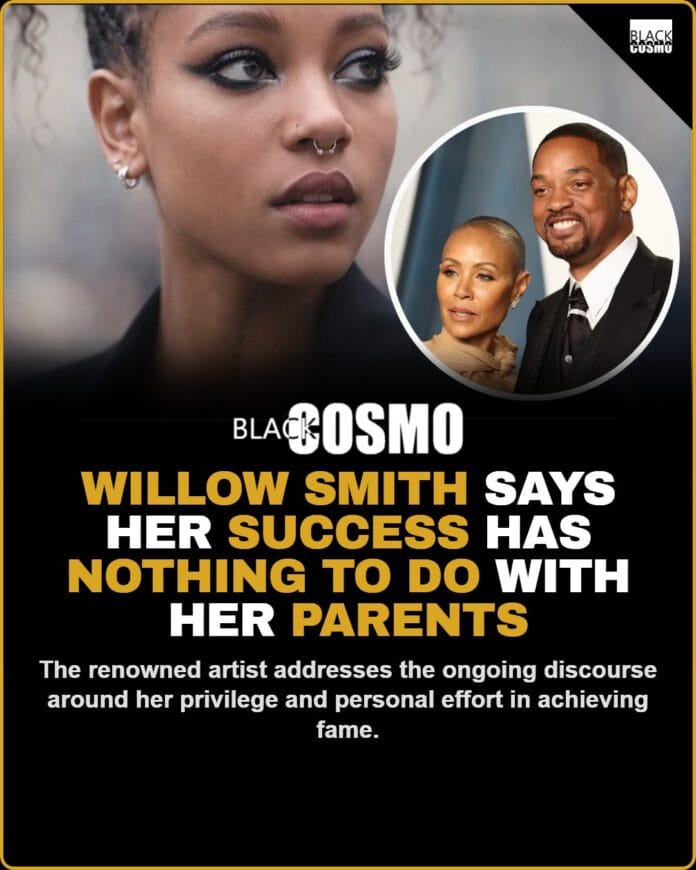 Willow Smith's Nepo Baby Debate: Privilege vs. Effort