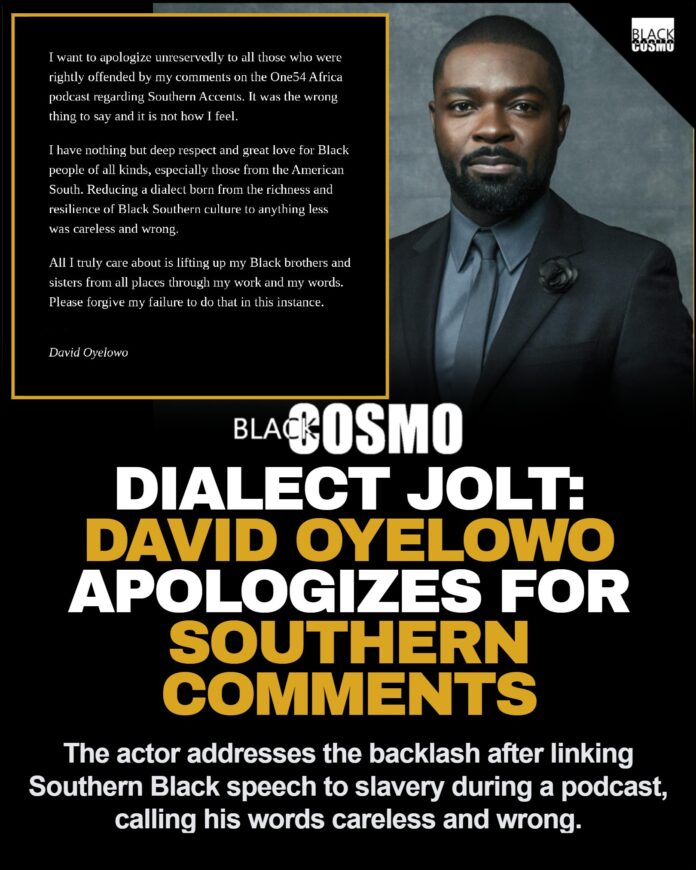 David Oyelowo reflecting on diaspora cultural discussions.