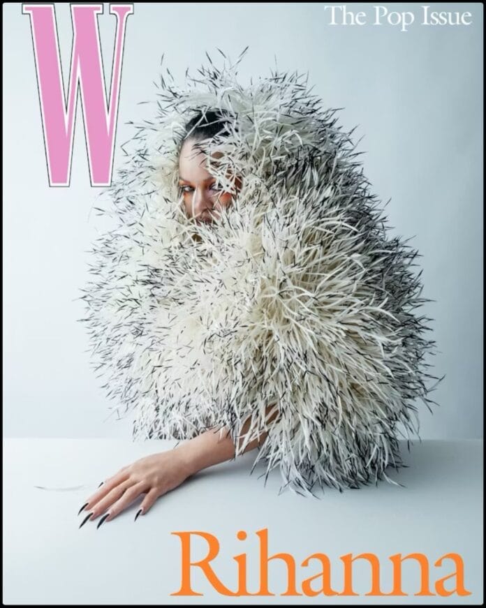 Rihanna W Magazine Cover