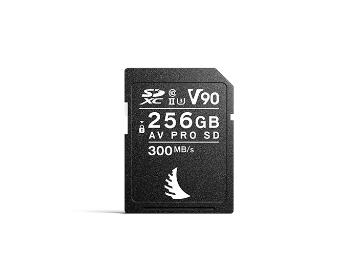 AV PRO SD MK2 256GB V90