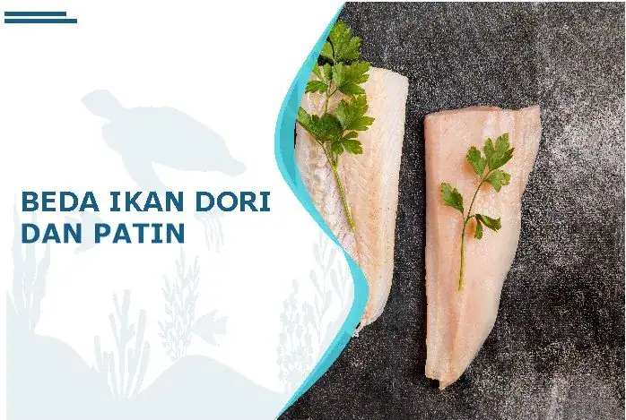 perbedaan ikan dori dan patin