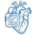 Excellent Biocompatibility