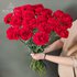 Гвоздики 25 шт.