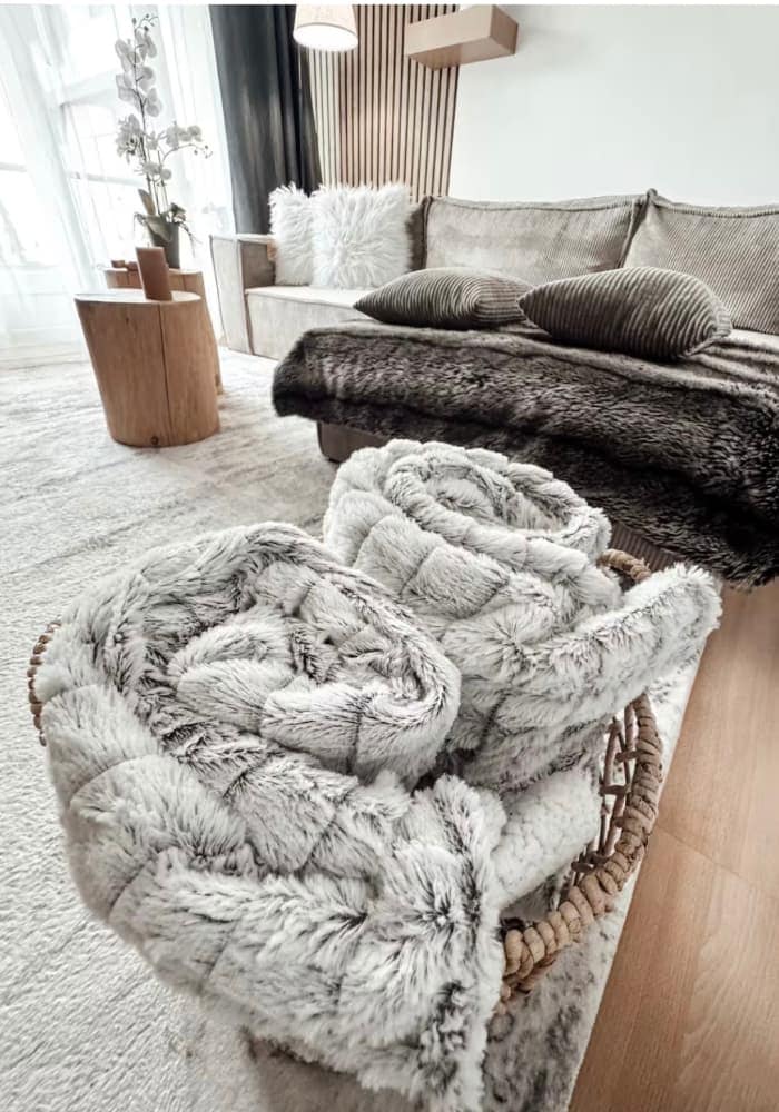 Ambiance salon chaleureuse avec un tapis en fausse fourrure et des coussins douillet pour un séjour à Metz