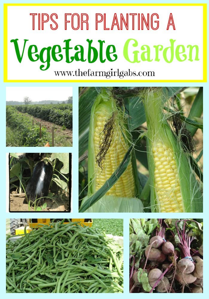 Tips for Planting a Vegetable Garden from How Does Your Garden Grow? ~ www.thefarmgirlgabs.com