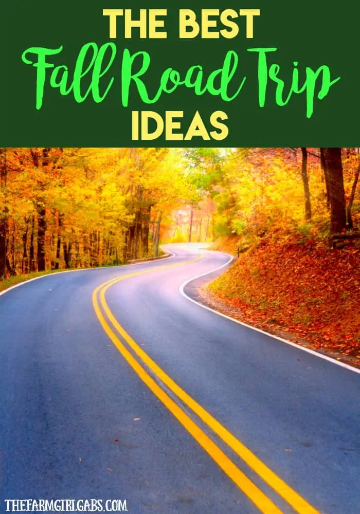 Planning to hit the road this fall and do some sightseeing? Check out these Best Fall Road Trip Ideas for inspiration.