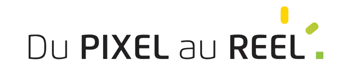 Du PIXEL au REEL