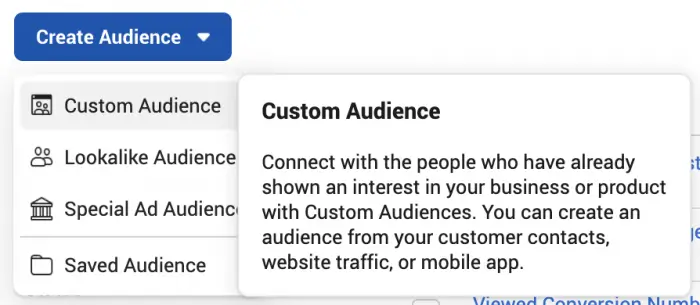 facebook ads custom audience custom audience