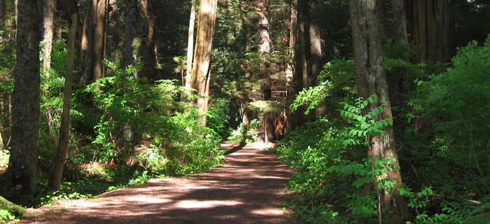 Sitka Alaska