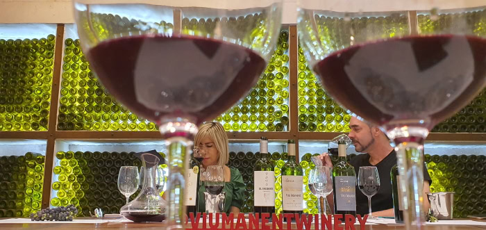 Enjoying a premium tasting at the superb Viu Manent winery