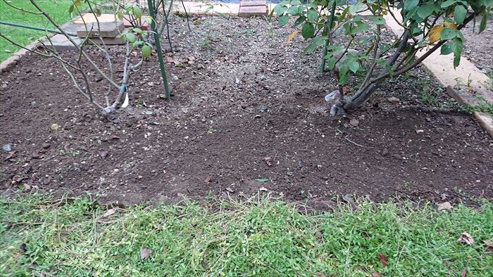 レンガを敷く前に除草