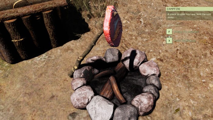 Icarus: Am Lagerfeuer kannst du dir eine Mahlzeit zubereiten.