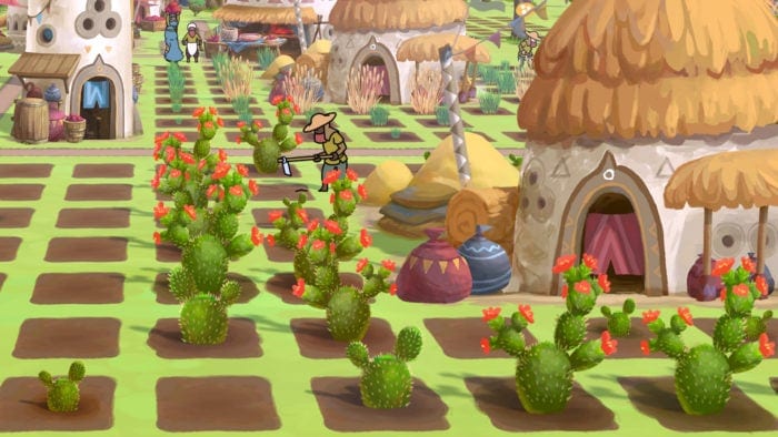 Wie du Wassermangel mit Kakteen vermeidest