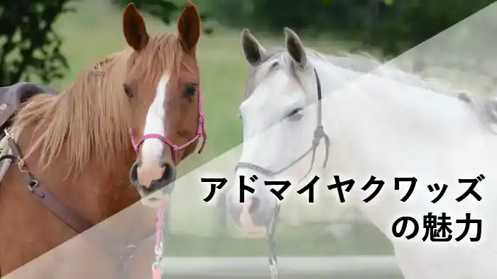 穏やかな表情の馬の親子（または仲間）の姿と「アドマイヤクワッズの魅力」という文字が入ったアイキャッチ画像