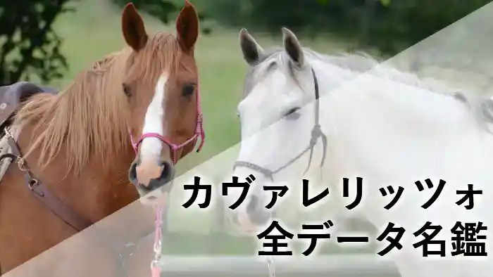 カヴァレリッツォの名鑑アイキャッチ画像。サートゥルナーリア産駒らしい気品ある馬体と、朝日杯FSの勝負服をイメージしたデザインに、血統表と馬体重推移データを添えて。