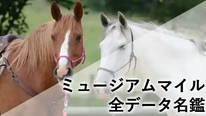 ミュージアムマイルの名鑑アイキャッチ。血統表と馬体重推移データを背景に、皐月賞・有馬記念を制した王者の威風堂々とした姿。