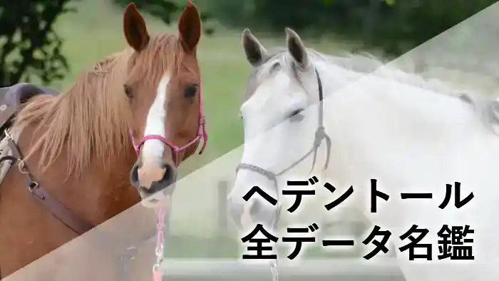 ヘデントールのデータ名鑑アイキャッチ画像。血統、戦績、馬体重の推移を網羅していることを示しています。