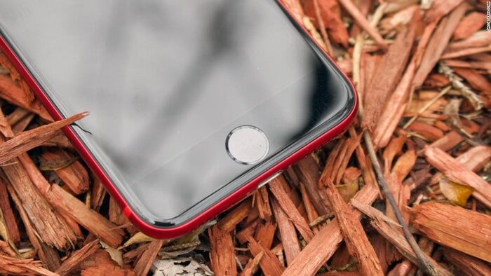 Разница между Galaxy A51 и iPhone SE 5 iPhone SE