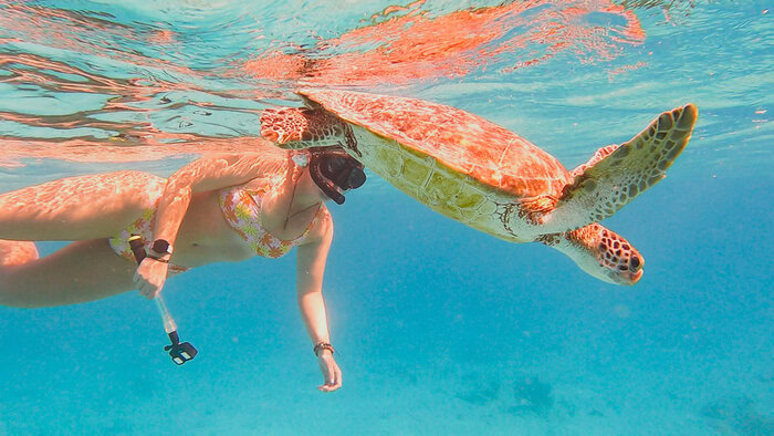 best places to snorkel in Bonaire