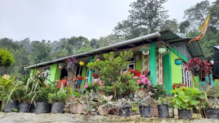 home flowers in Kalimpong