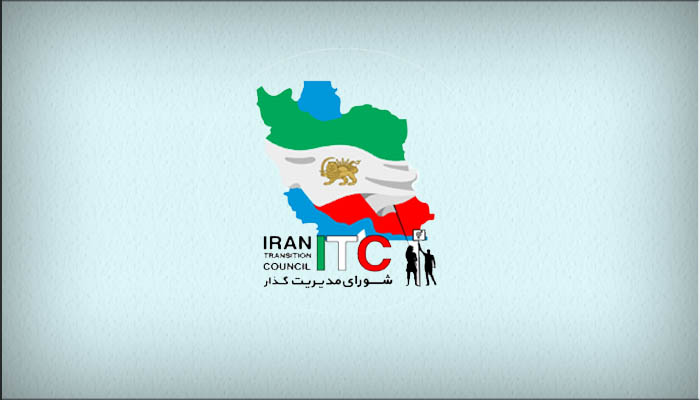 شورای مدیریت گذار