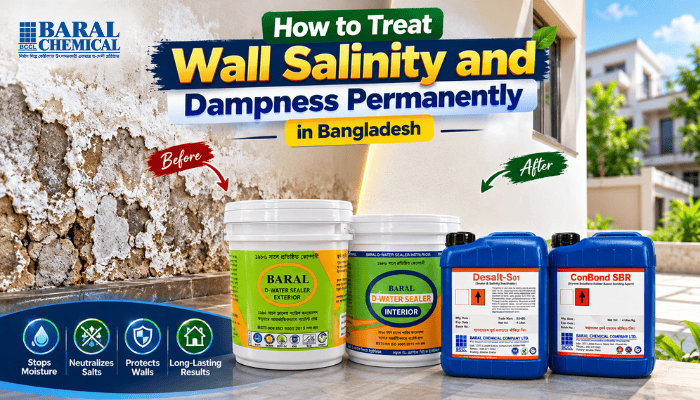 How to Treat Wall Salinity and Dampness Permanently in Bangladesh