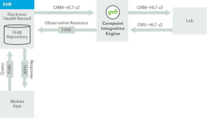 FHIR EHR Example